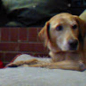 Meet your Posher, Claire